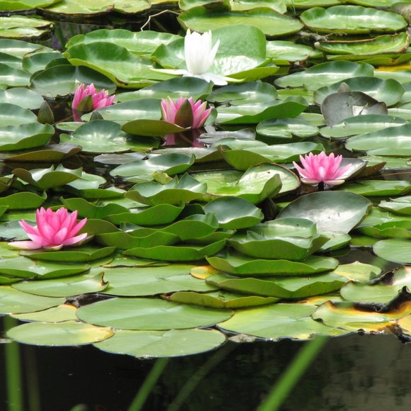 Welcome to Mama Llama's Cozy Closet! - Picture 11 of 15